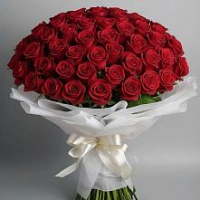 Букет 101 Красная роза Блэк Мэджик #REPLACE_PRED# Большое Болдино