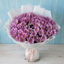 Букет цветов из:  Хризантемы #REPLACE_PRED# Большое Болдино