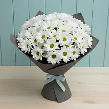 Букет цветов из:  Хризантемы #REPLACE_PRED# Большое Болдино