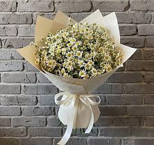 Букет цветов из:  Ромашки в Большое Болдино