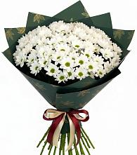 Букет цветов из:  Хризантемы в Большое Болдино