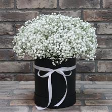 Цветочная композиция из Гипсофила в шляпной коробке #REPLACE_PRED# Большое Болдино