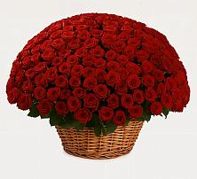 Премиум букет из: Розы #REPLACE_PRED# Большое Болдино